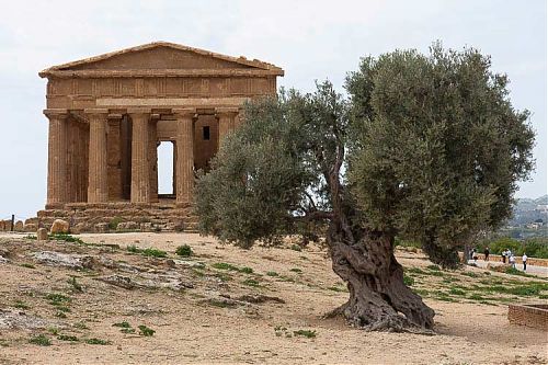 agrigento temple