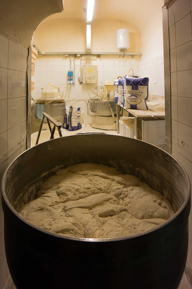 bread dough rising picture